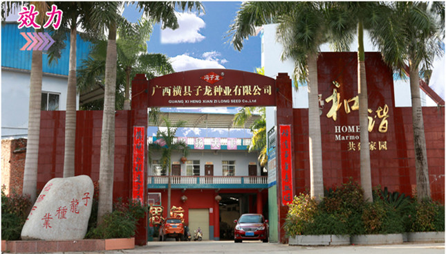 實力品質均有保障