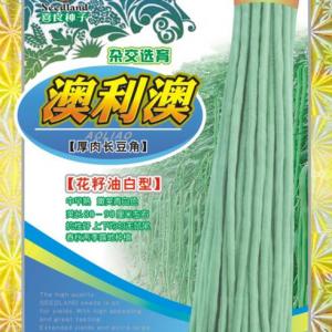 澳利澳（花籽油白型）厚肉長豆角 2-07